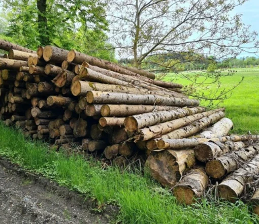 Grumes-depicea-PEFC-par-1-camion-–-60M3.webp PEFC-zertifizierte Fichtenstämme pro LKW-Ladung – 60 m³ – Bild 1