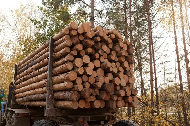 grume-camion-de-25-steres-1-2.webp Buchenstämme, LKW-Ladung von 25 Kubikmetern – Bild 1
